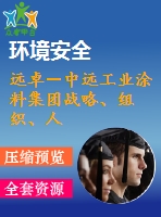 遠(yuǎn)卓－中遠(yuǎn)工業(yè)涂料集團(tuán)戰(zhàn)略、組織、人力資源規(guī)劃咨詢?nèi)福?34m）