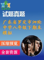廣東省羅定市泗綸中學八年級下期末模擬試題(二)
